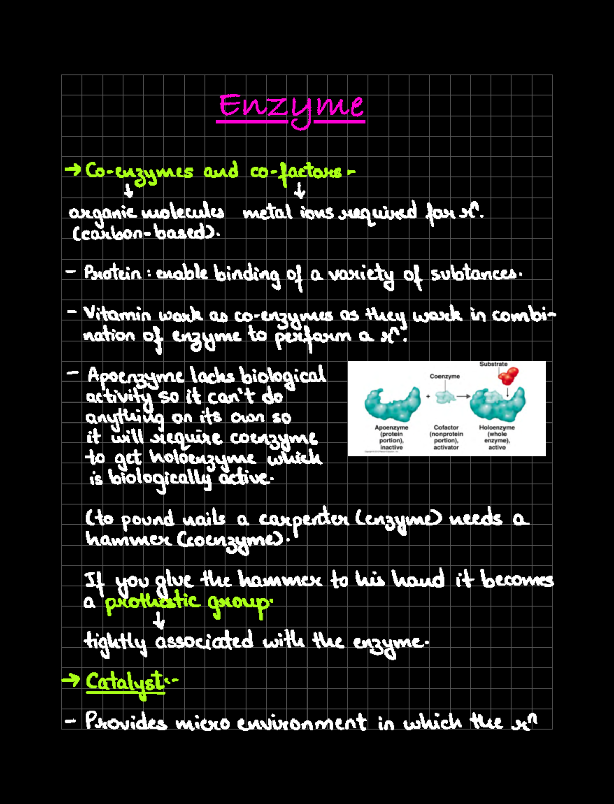 Module 6 - Lecture Notes On Enzymes - Enzyme Co Enzymes And Co Factors ...