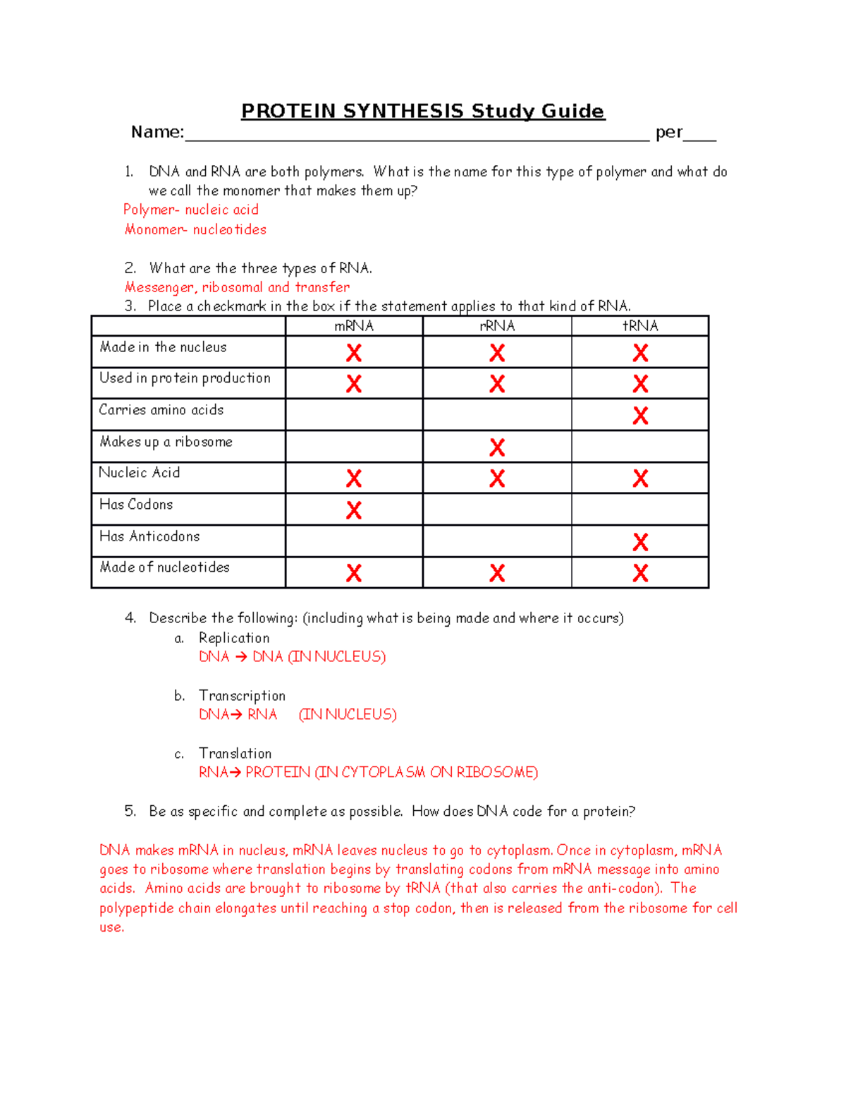 2011 Protein Synthesis Study Guide key PROTEIN SYNTHESIS Study Guide