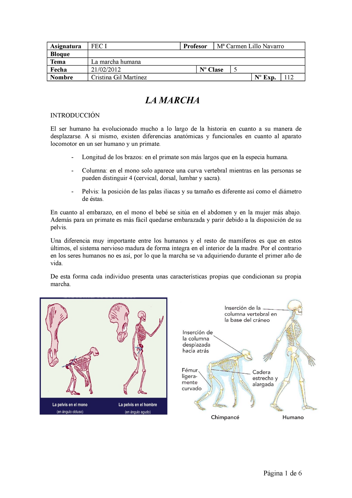 Resumen  La marcha humana  Asignatura Bloque Tema Fecha Nombre FEC I