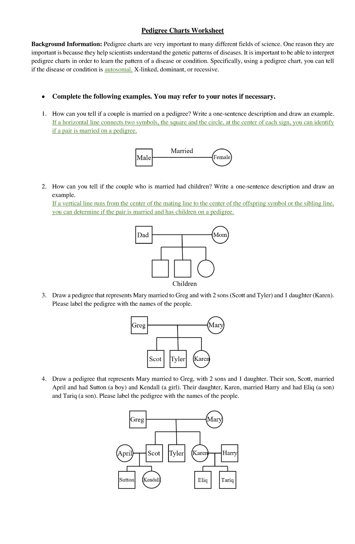 Pedigree Charts Worksheet and Answer Key Pedigree Charts Worksheet