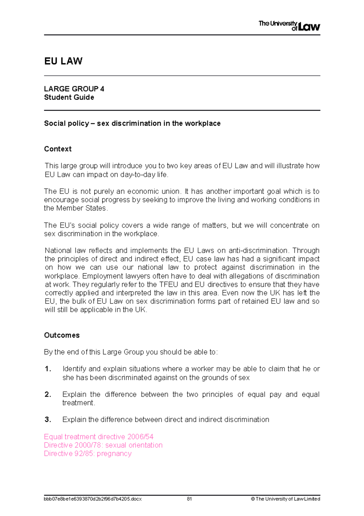 E Large Group 4 - EU LAW LARGE GROUP 4 Student Guide Social policy ...