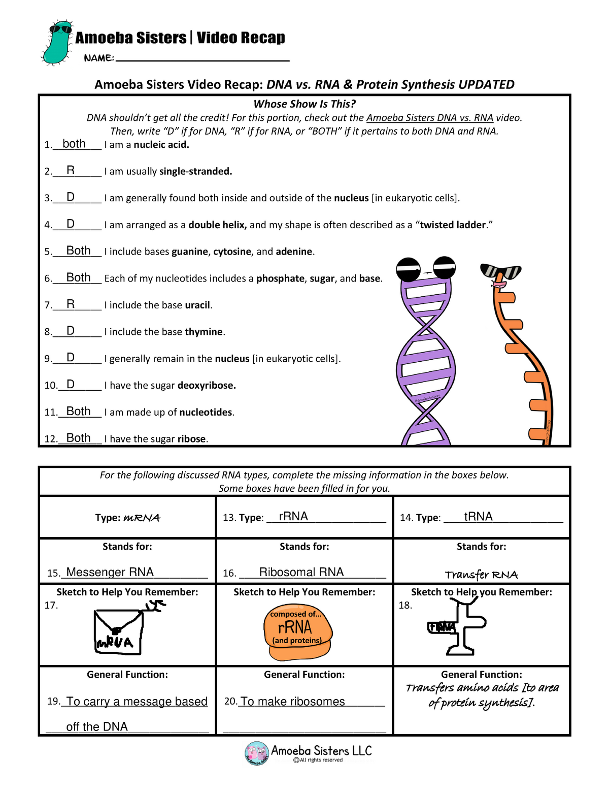Dna vs rna and protein synthesis updated recap by amoeba sisters With Dna And Rna Worksheet Answers