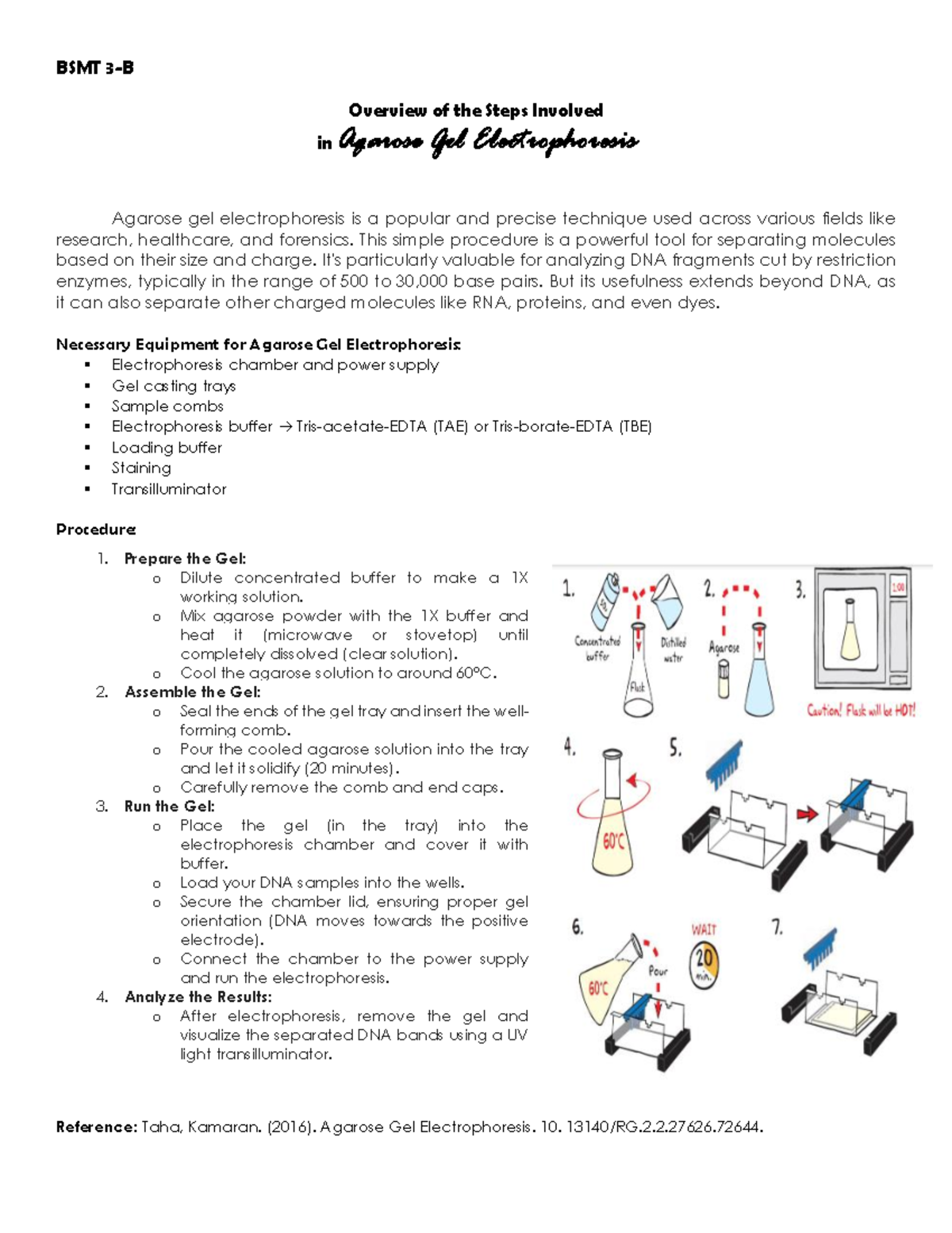 Agarose gel electrophoresis - 1. Prepare the Gel: o Dilute concentrated ...