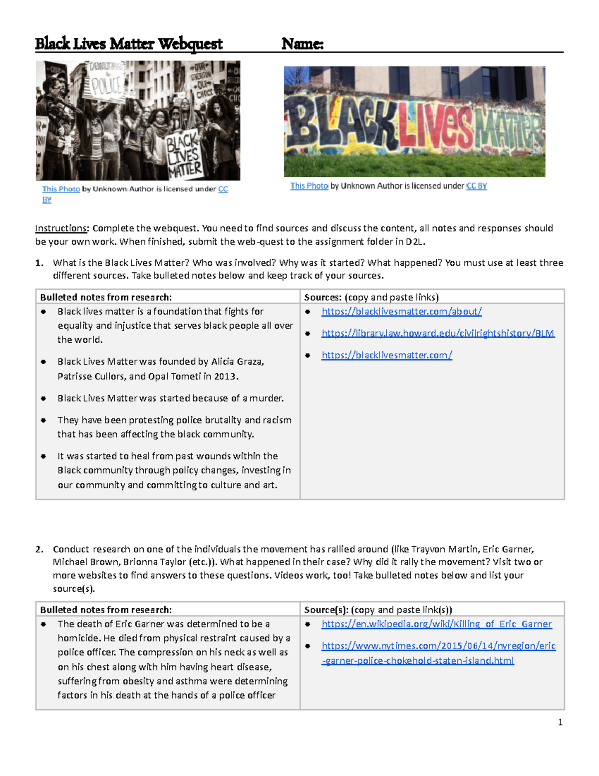Black Lives Matter Webquest - You need to find sources and discuss the ...