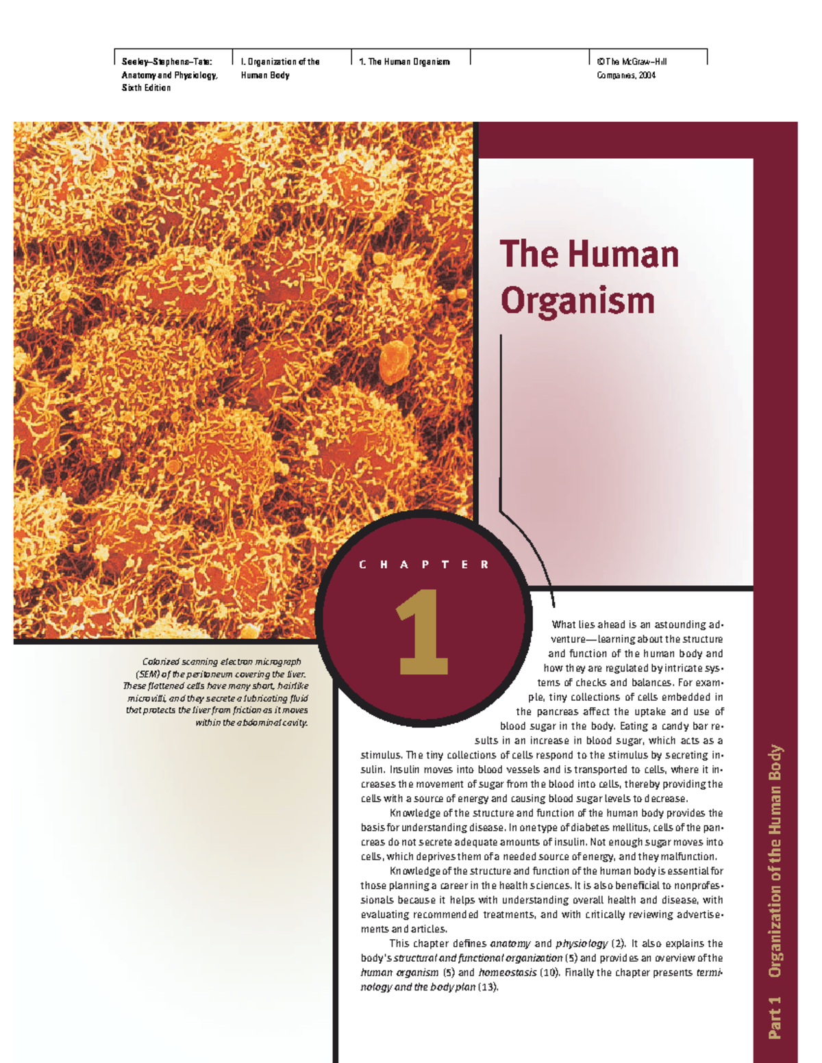 01 The Human Organism - Seeley−Stephens−Tate: Anatomy And Physiology ...