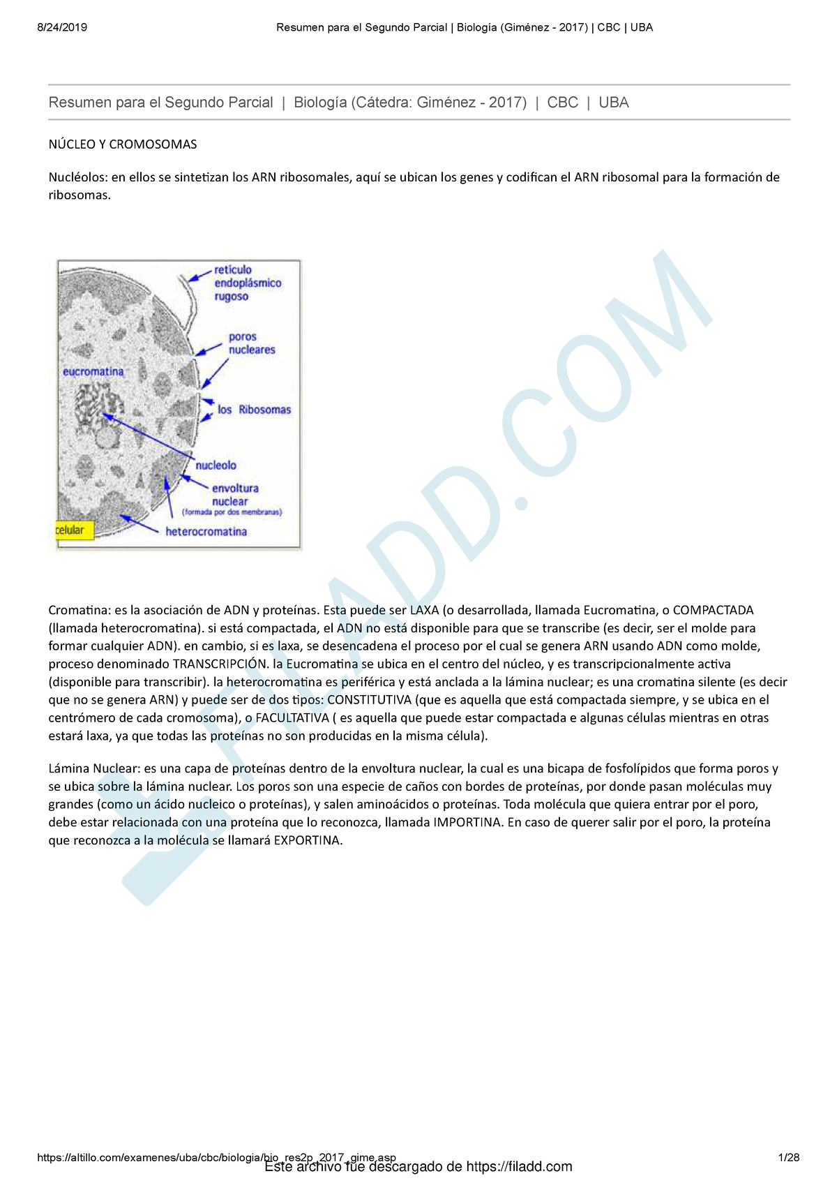 Resumen Para El Segundo Parcial Biologia Gimenez - 2017 CBC UBA - - Studocu