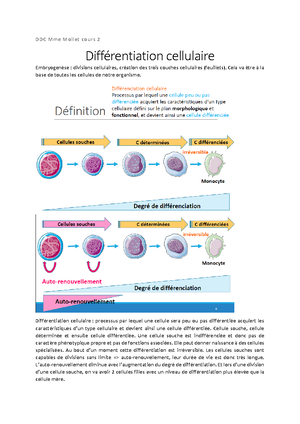 DDC Mme Guerin regulation cycle cellulaire - DDC Mme Guérin cours 4 ...