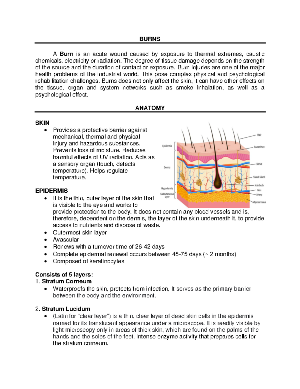 Burns Physical Therapy Case Presentation - BURNS A Burn is an acute ...