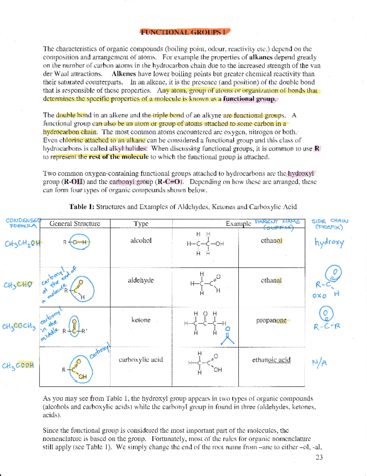 Functional Region: The Ultimate Comparison Guide - rui3lnh