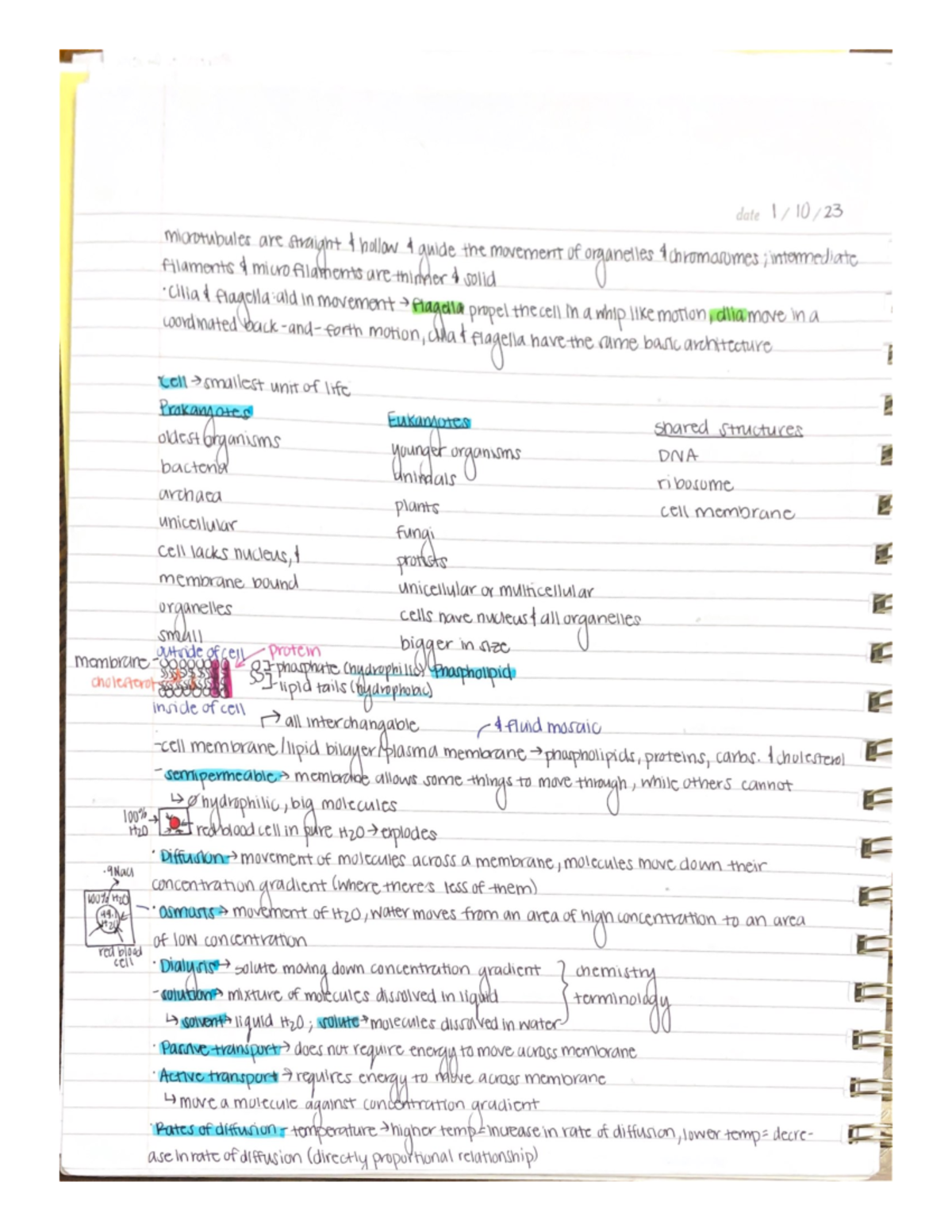 Biology Lecture 5 - BIO-1 - Studocu