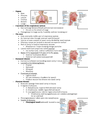 Biology 125 LAB #5 - Blood - LABORATORY Cardiovascular System – Blood ...