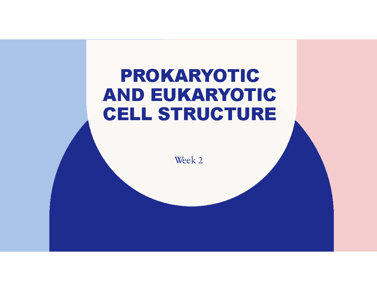 Week+2+Powerpoint - Week 2 notes - PROKARYOTIC AND EUKARYOTIC CELL ...