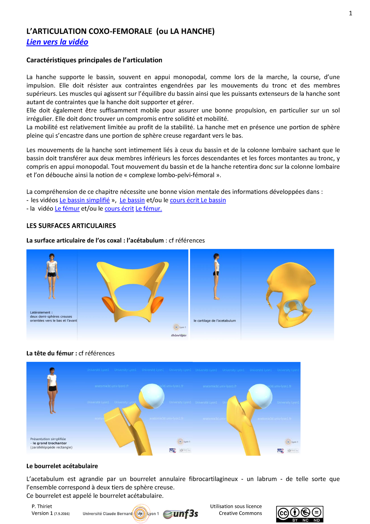 Synthèse - Anatomie - Membre Inférieur - Arthrologie - Hanche - P ...