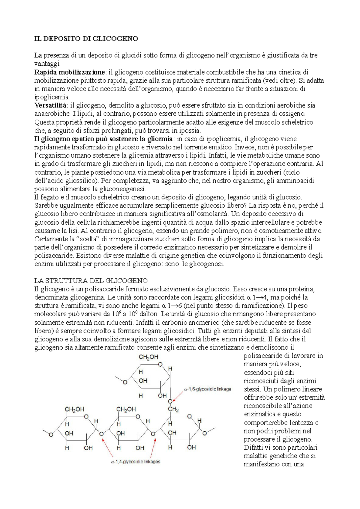 GLICOGENO SCARICA