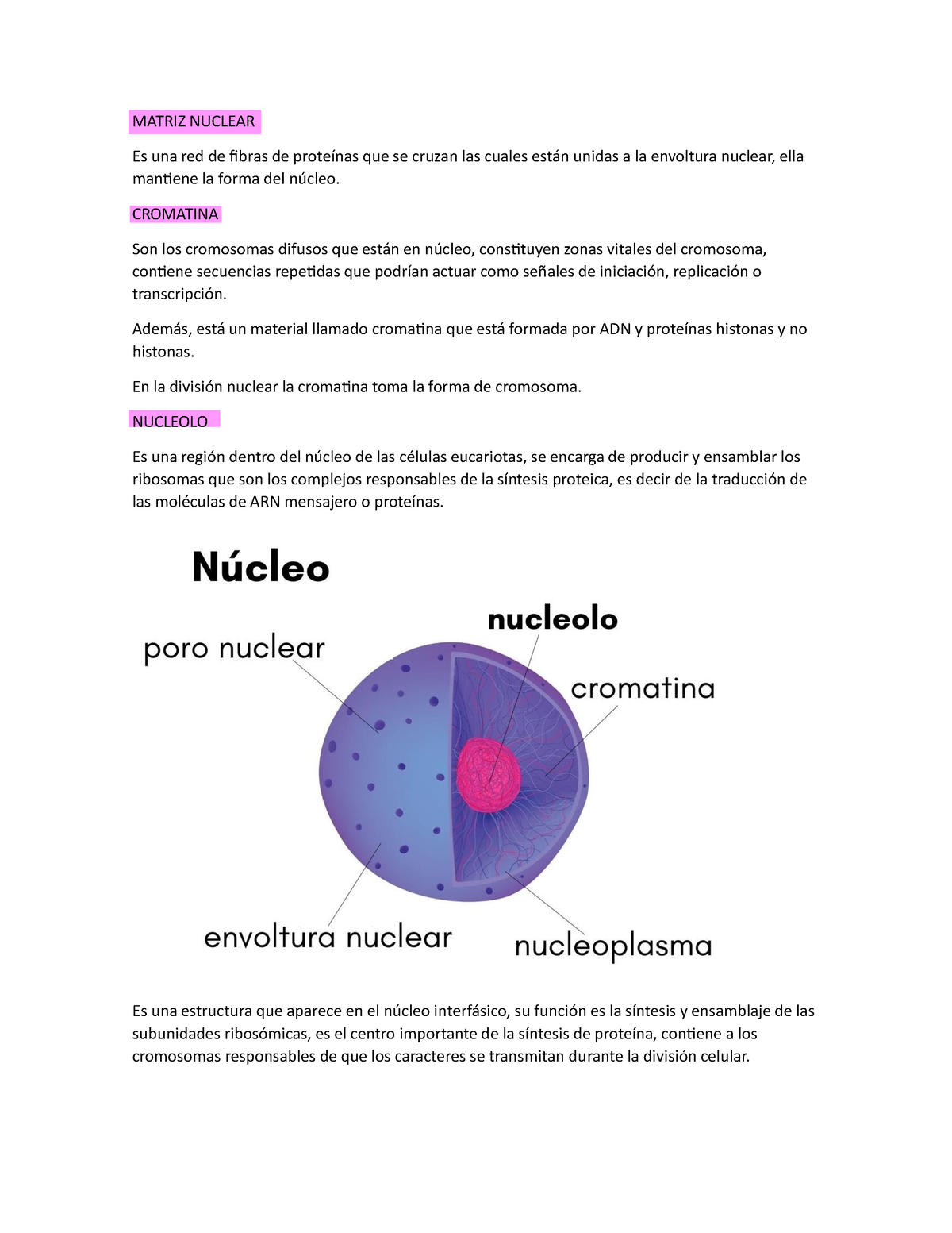 matriz nuclear