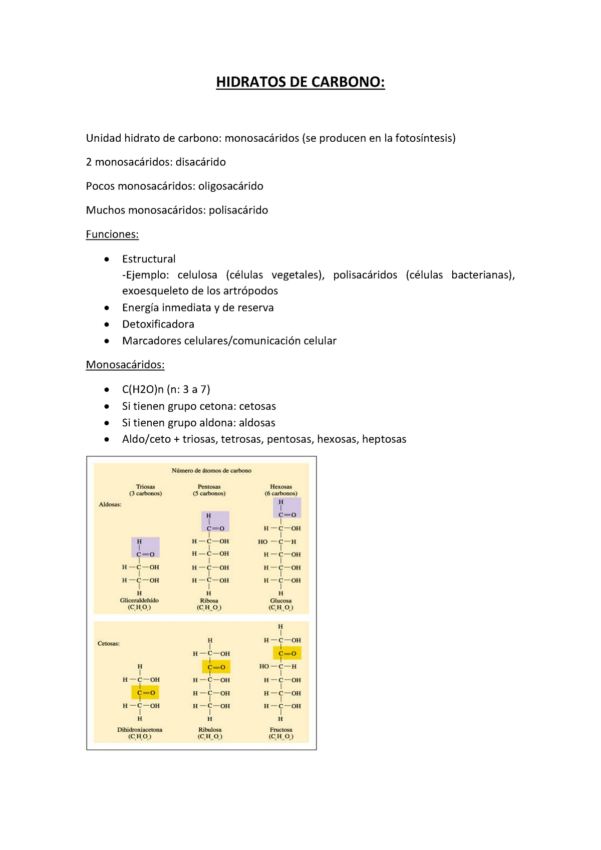 Hidratos De Carbono Bioquimica I Ub Studocu
