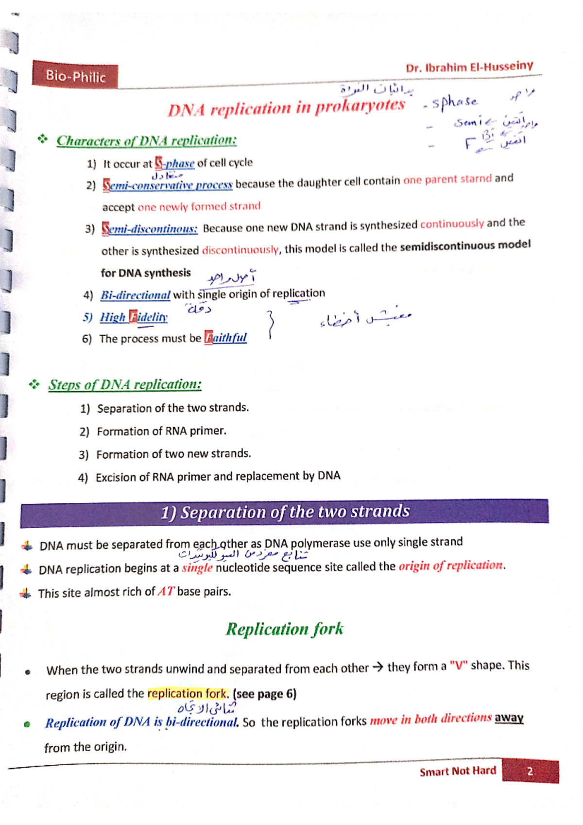 molecular biology essay questions