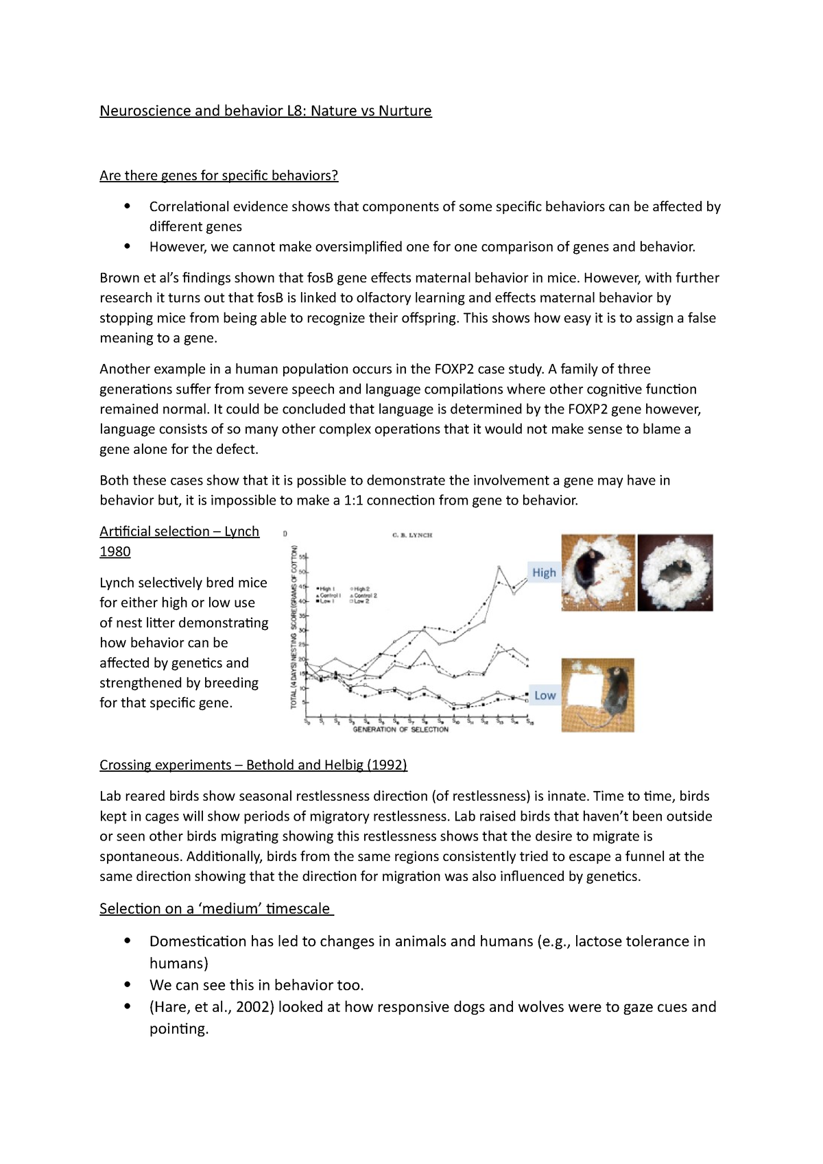 neuroscience honors thesis brown