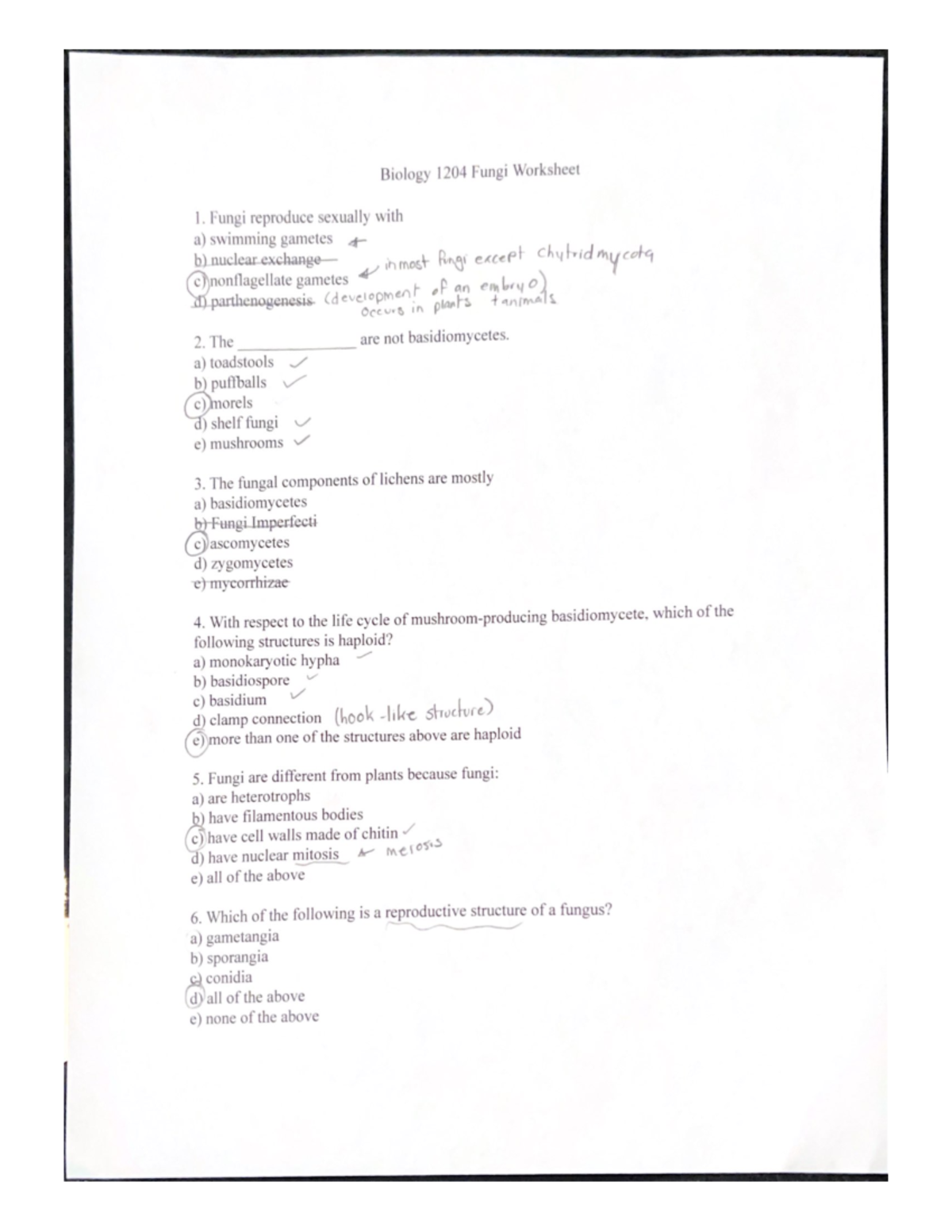 Biology 1204 Fungi Worksheet - Studocu