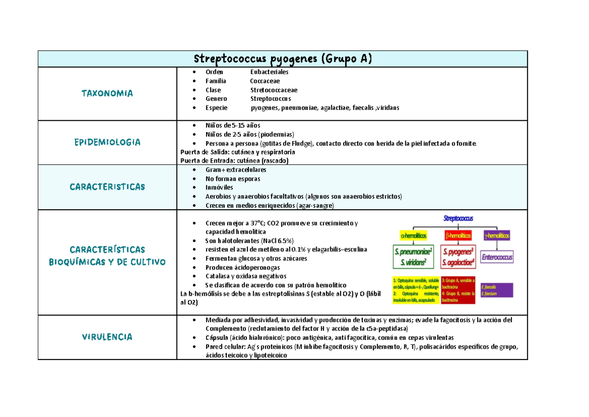BACTERIAS- CUADROS RESPIRATORIOS - Streptococcus pyogenes (Grupo A ...
