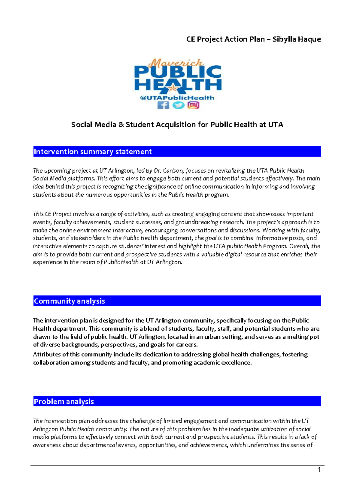 Intervention-Plan-Template - CE Project Action Plan – Sibylla Haque ...