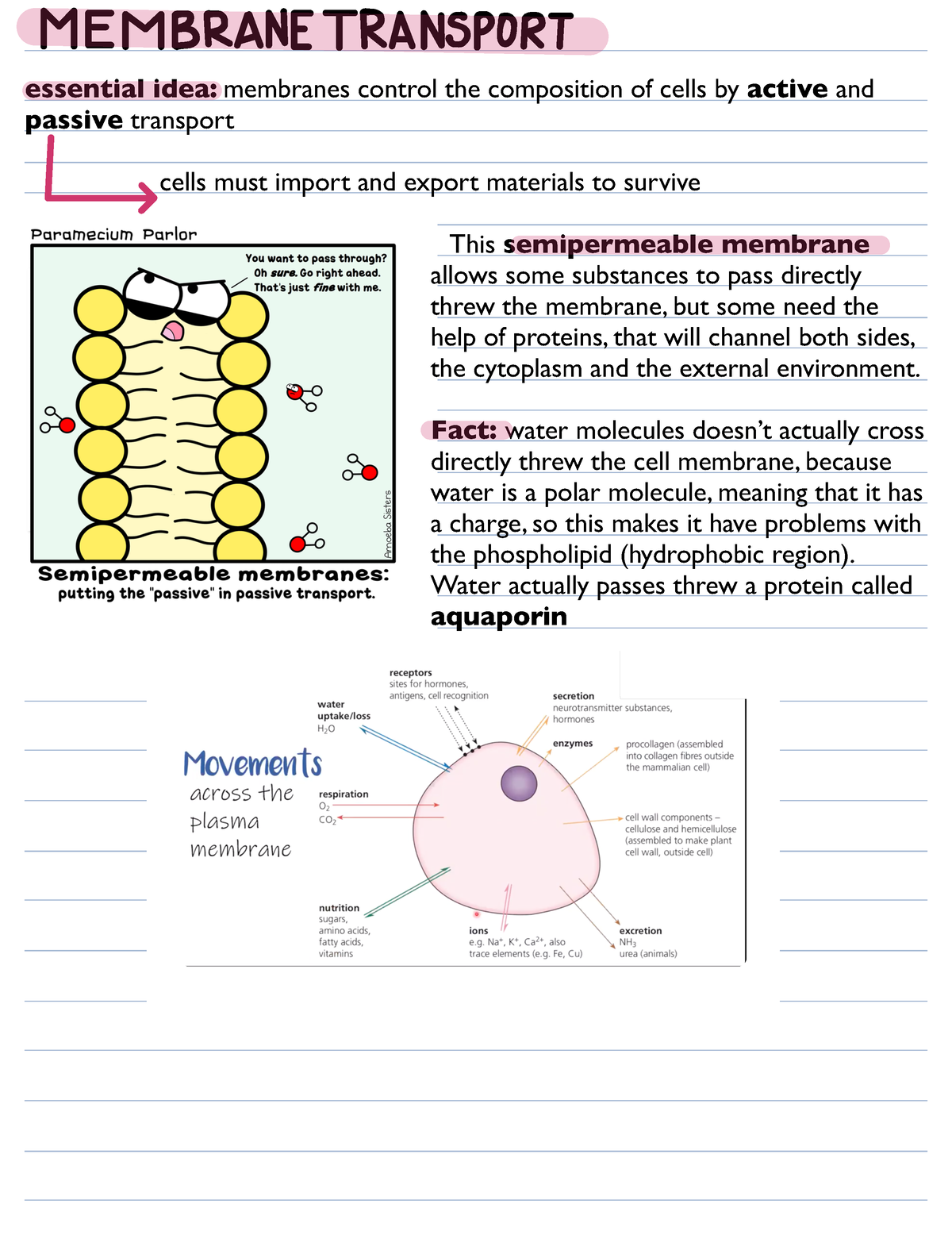 1.4 Greta Resumen - Bases Biologicas - Essential Idea: Membranes ...