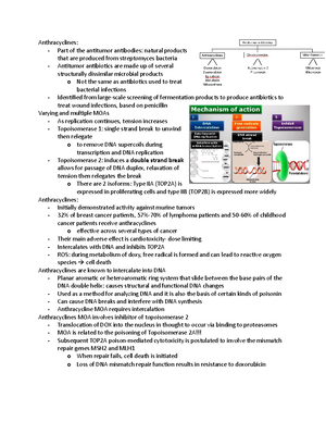 Oncology Exam 1 - Background On Cancer, Pathogenesis And Diagnosis Of ...