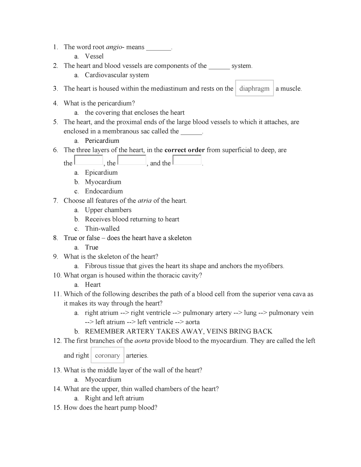 a-p-ii-chapter-15-cardiovascular-system-the-word-root-angio-means