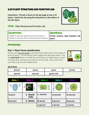 Copy of 5 02 lab report template-v23 - 5 Natural Selection Virtual Lab ...