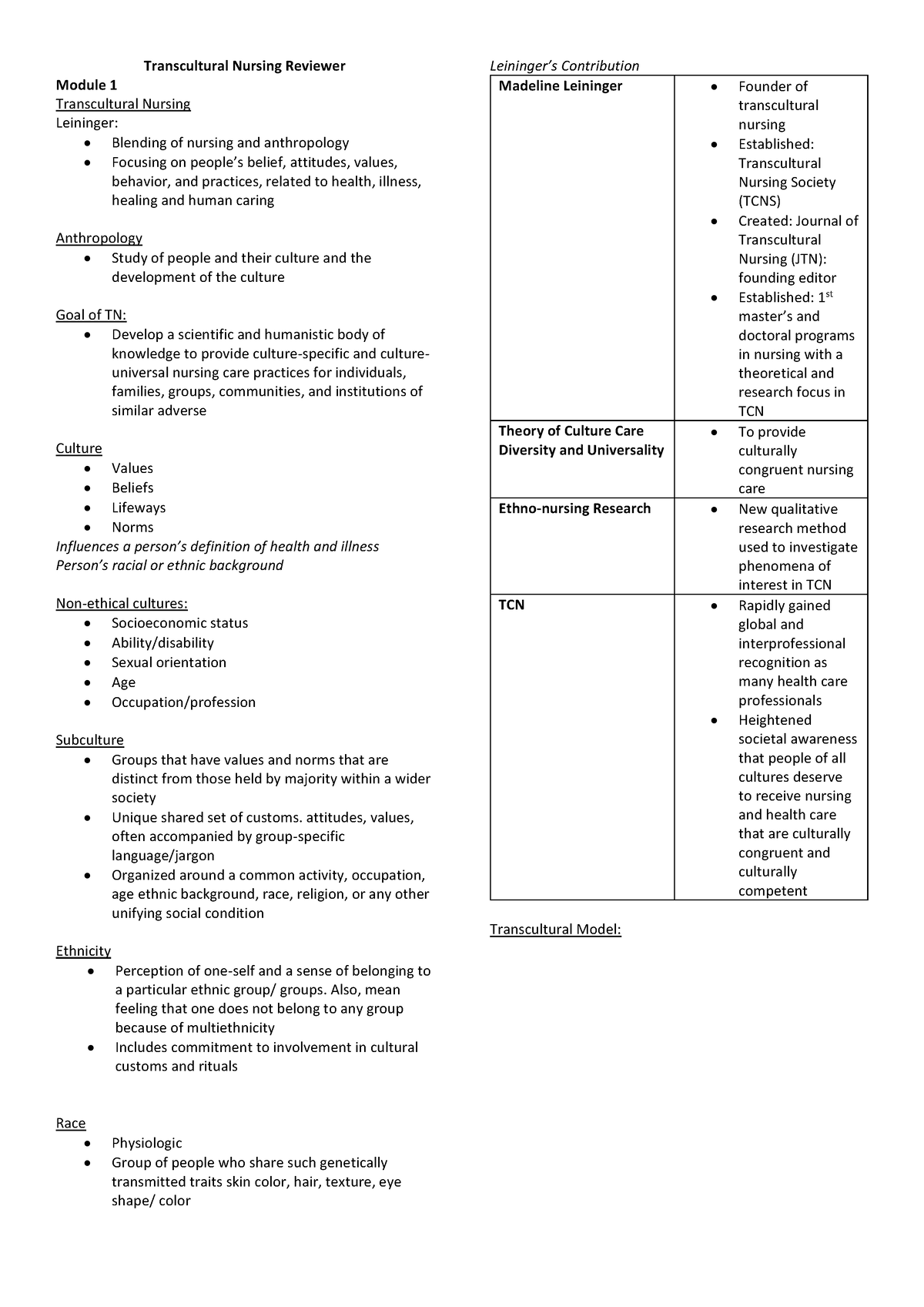 reflection paper about transcultural nursing