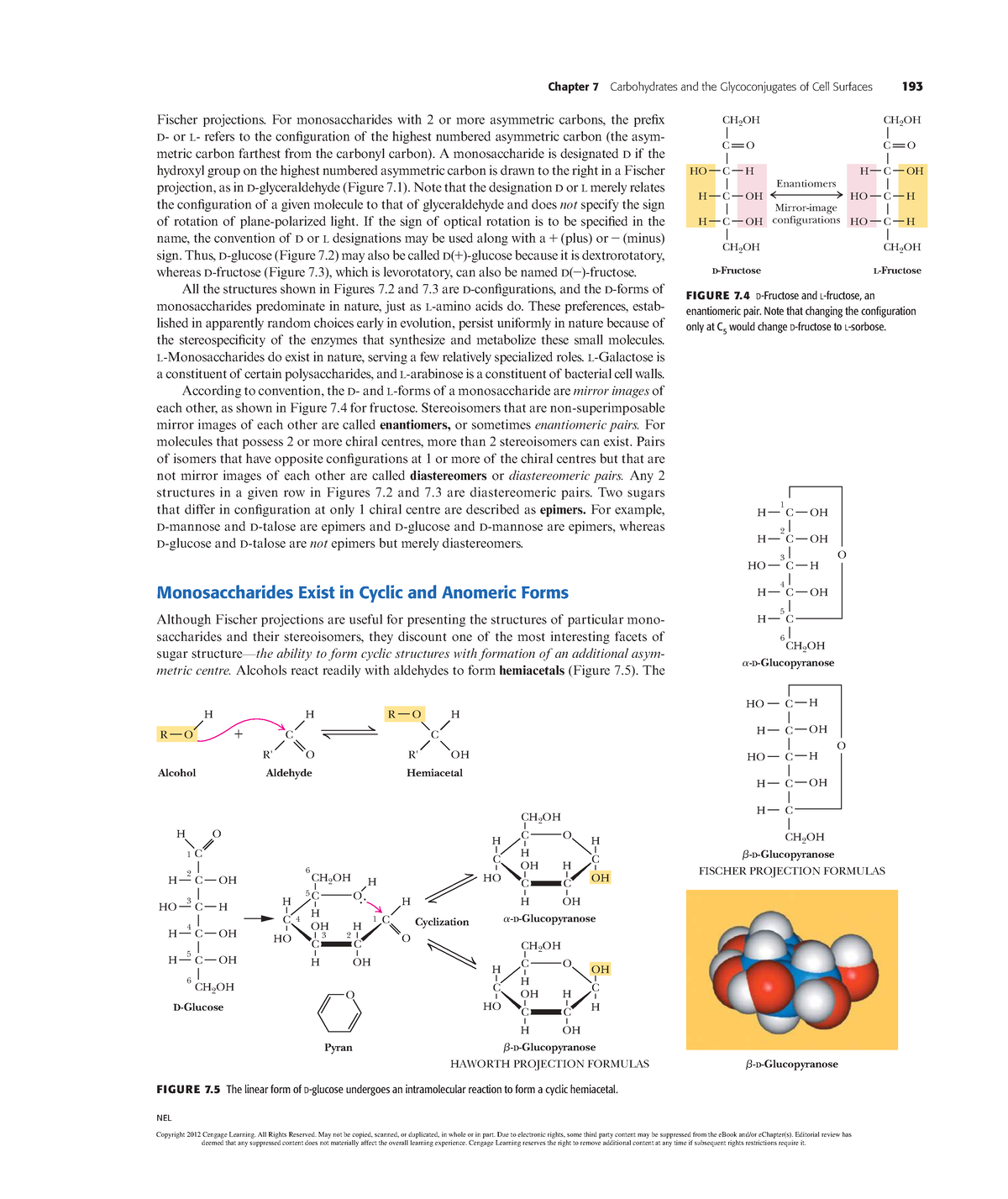 Biochemistry (2)-79 - N/A - Chapter 7 Carbohydrates And The ...