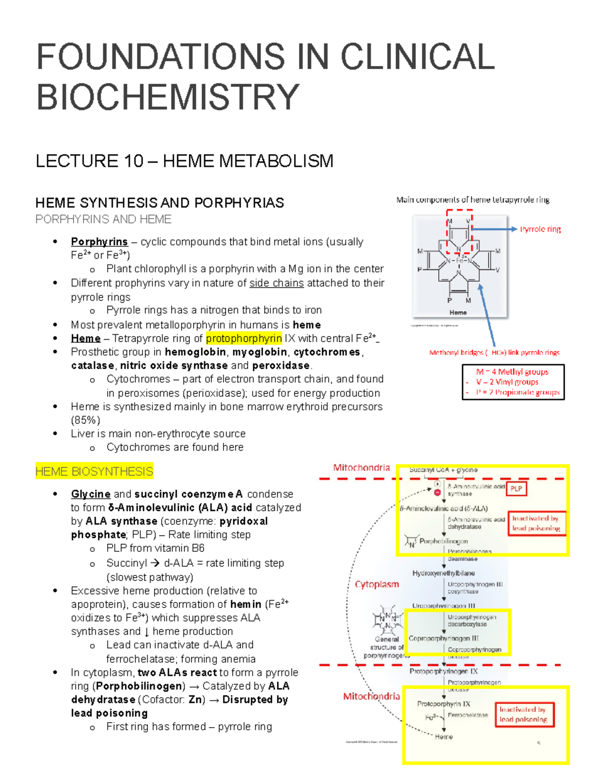 FCB Lecture 10 notes FOUNDATIONS IN CLINICAL BIOCHEMISTRY LECTURE 10