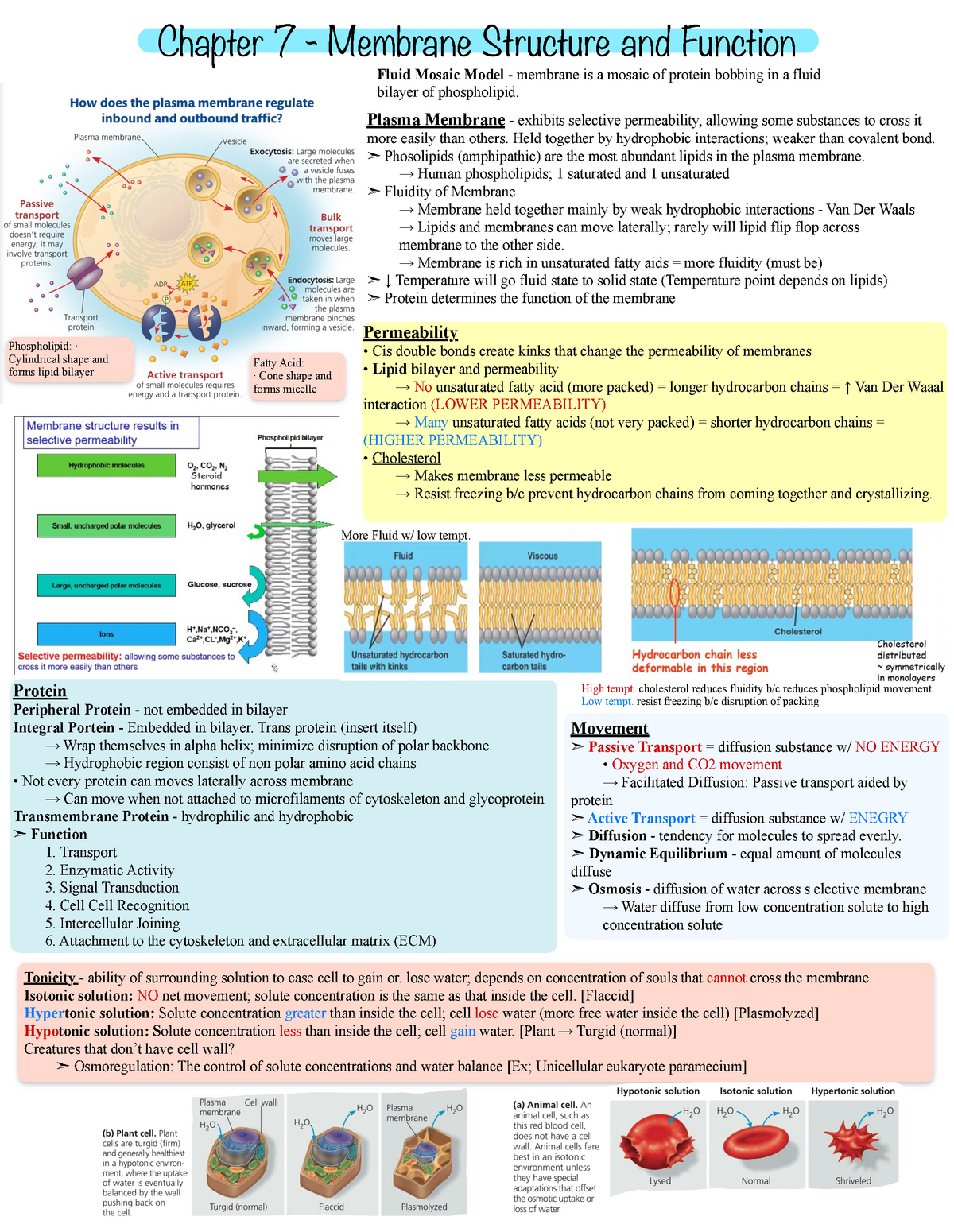 Biology ayayayayyayayayyayyayayayayyyayayayyyayayayyayayayyayayay ...