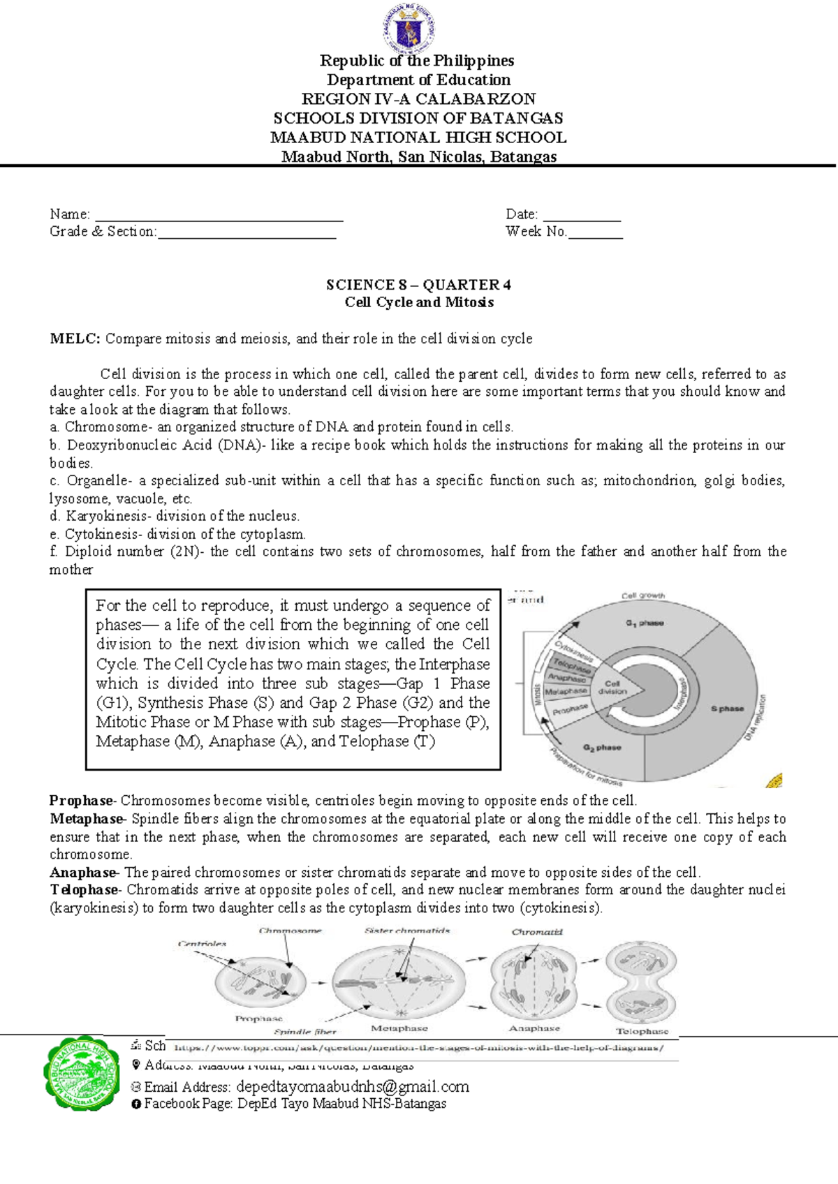 Science WEEK 2 Activity docx - Department of Education REGION IV-A ...