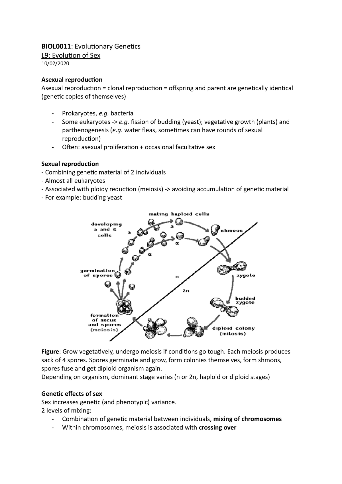 Evolution Of Sex Biol0011 Evolutionary Genetics L9 Evolution Of