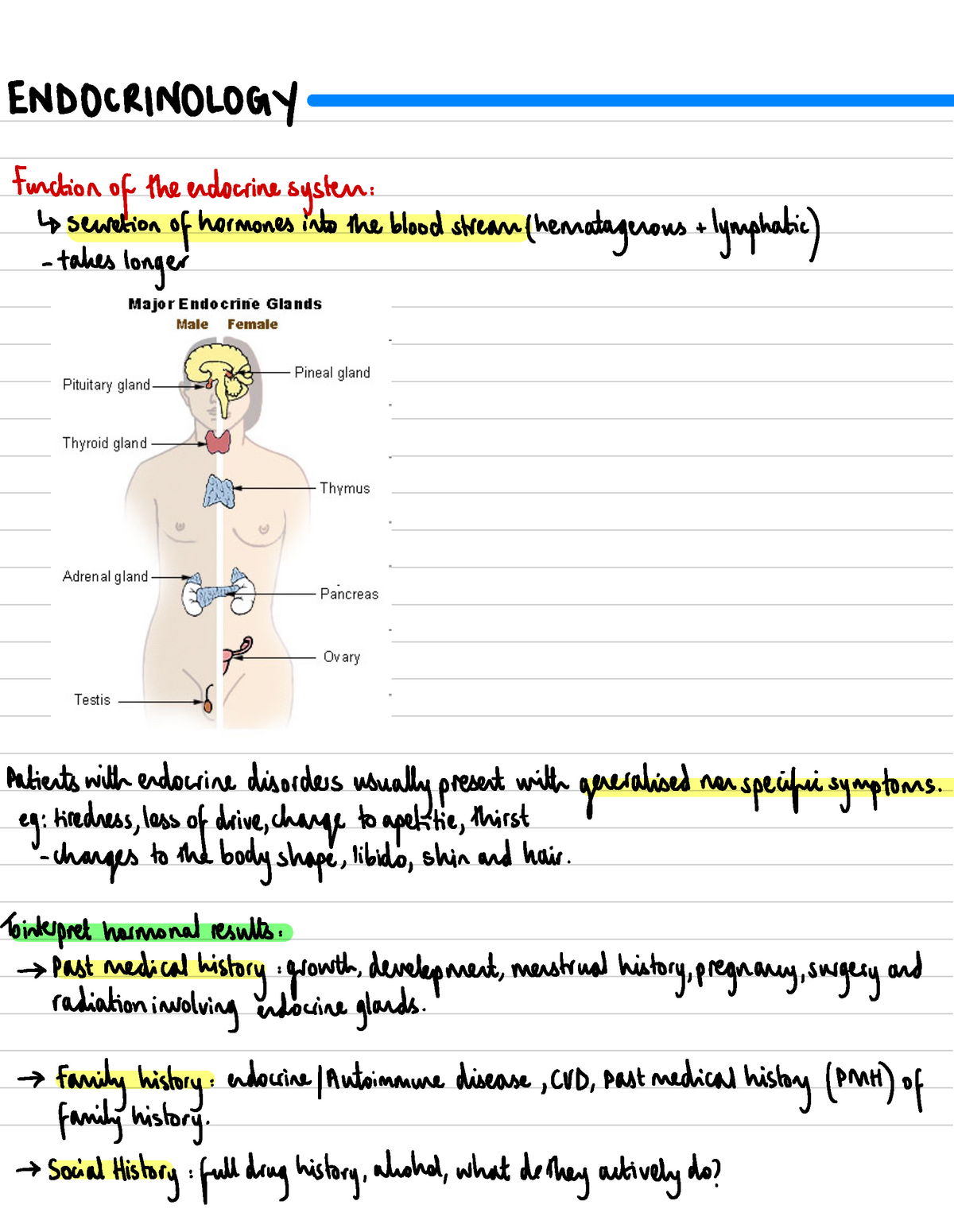 10 Lecture Notes Endocrinology Function Of The Endocrine System Secretion Of Hormones 