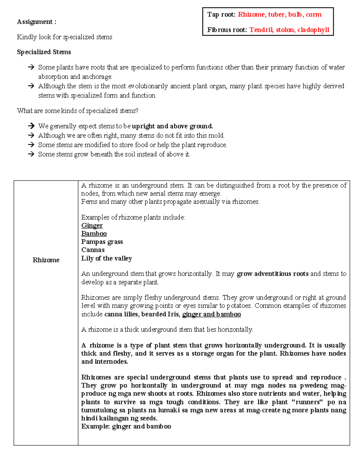 Assignment - Ggggg - Assignment : Kindly look for specialized stems ...