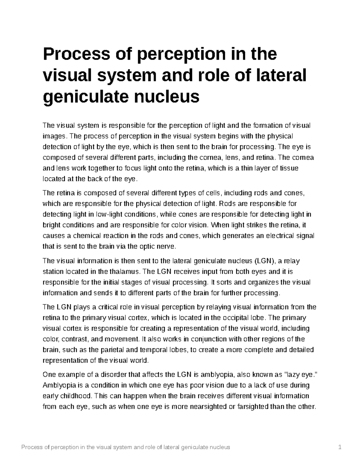 Process of perception in the visual system and role of lateral ...