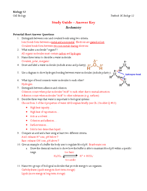 Selftest 01 - Self Test For Before Midterm - Self Test 1 (Units 3-5 ...