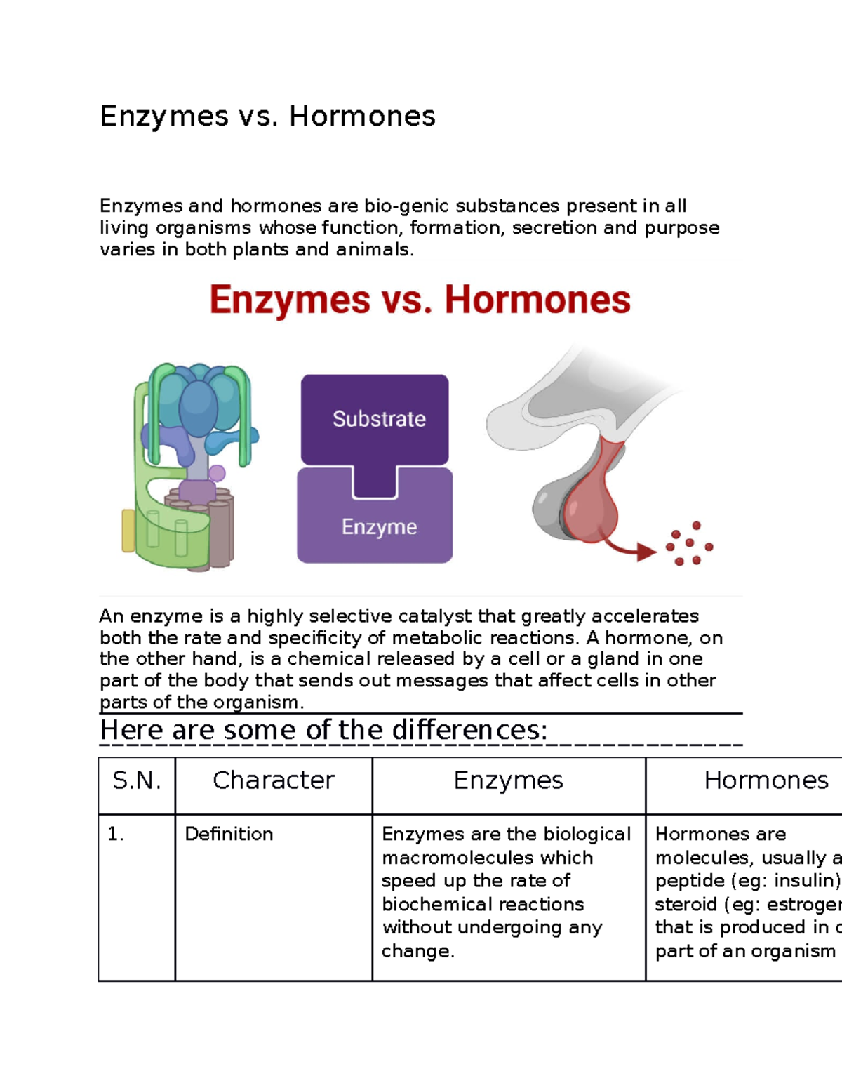Enzymes vs. Hormones notes Enzymes vs. Hormones Enzymes and