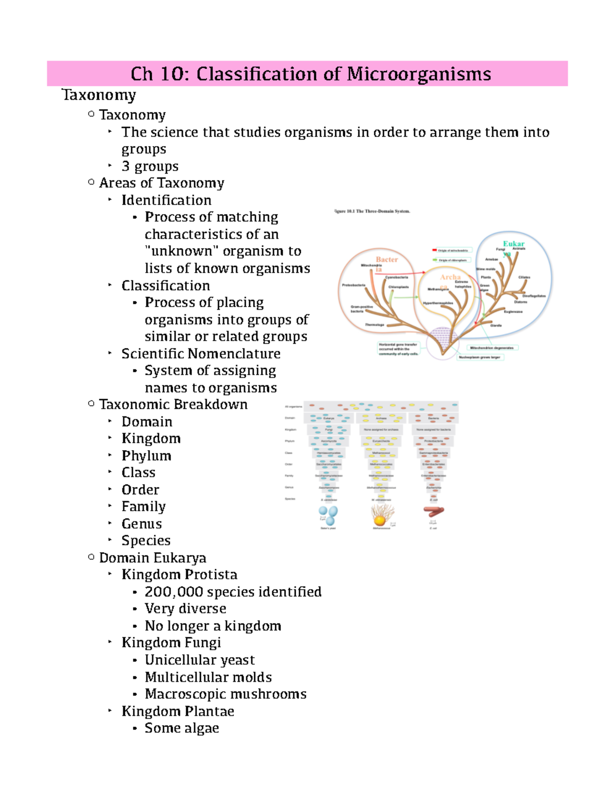 Chapter 10 Notes - Josh Dillard - Ch 10: Classification Of ...