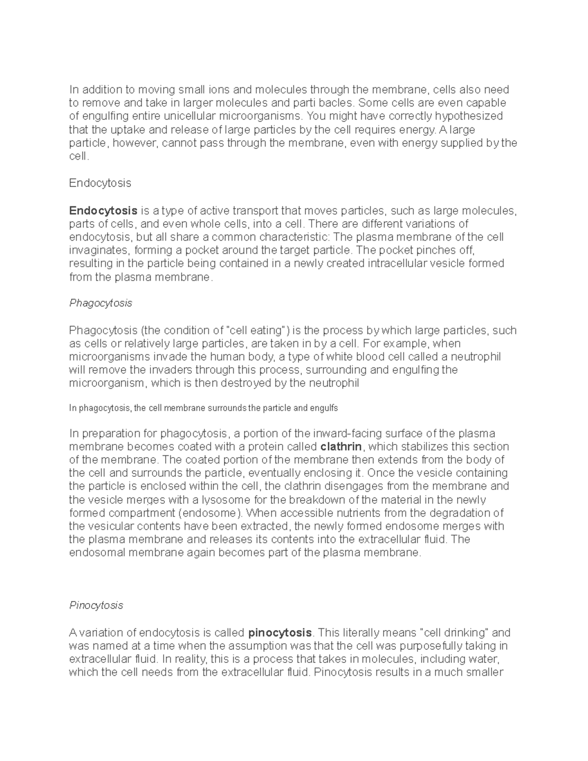 THE BULK Transport In addition to moving small ions and molecules
