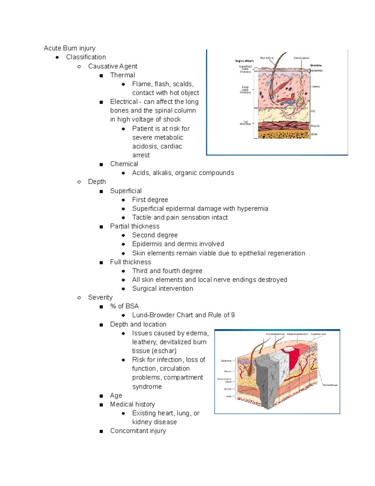 Burns - Acute Burn injury Classification Causative Agent Thermal Flame ...