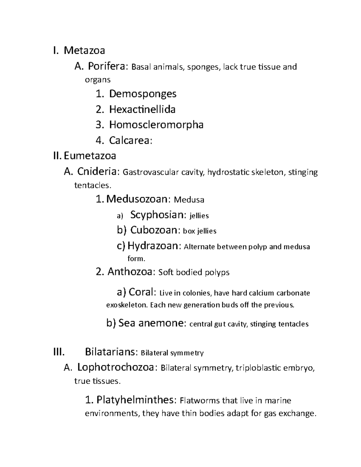 Skeleton outline I. Metazoa A. Porifera Basal animals, sponges, lack