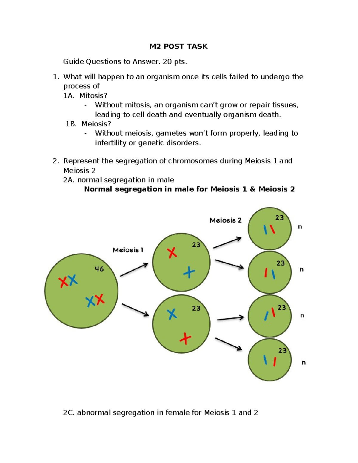 Trash 1 - do not rely on - M2 POST TASK Guide Questions to Answer. 20 ...