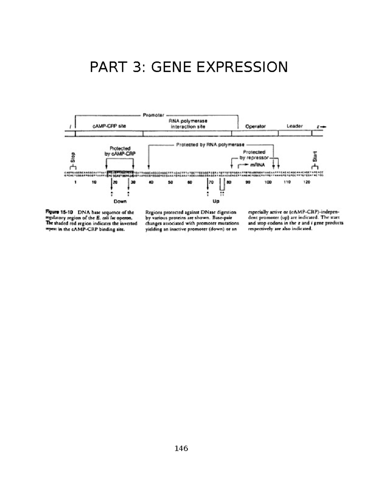 Lab manual part 3 - PART 3: GENE EXPRESSION Introduction to Gene ...
