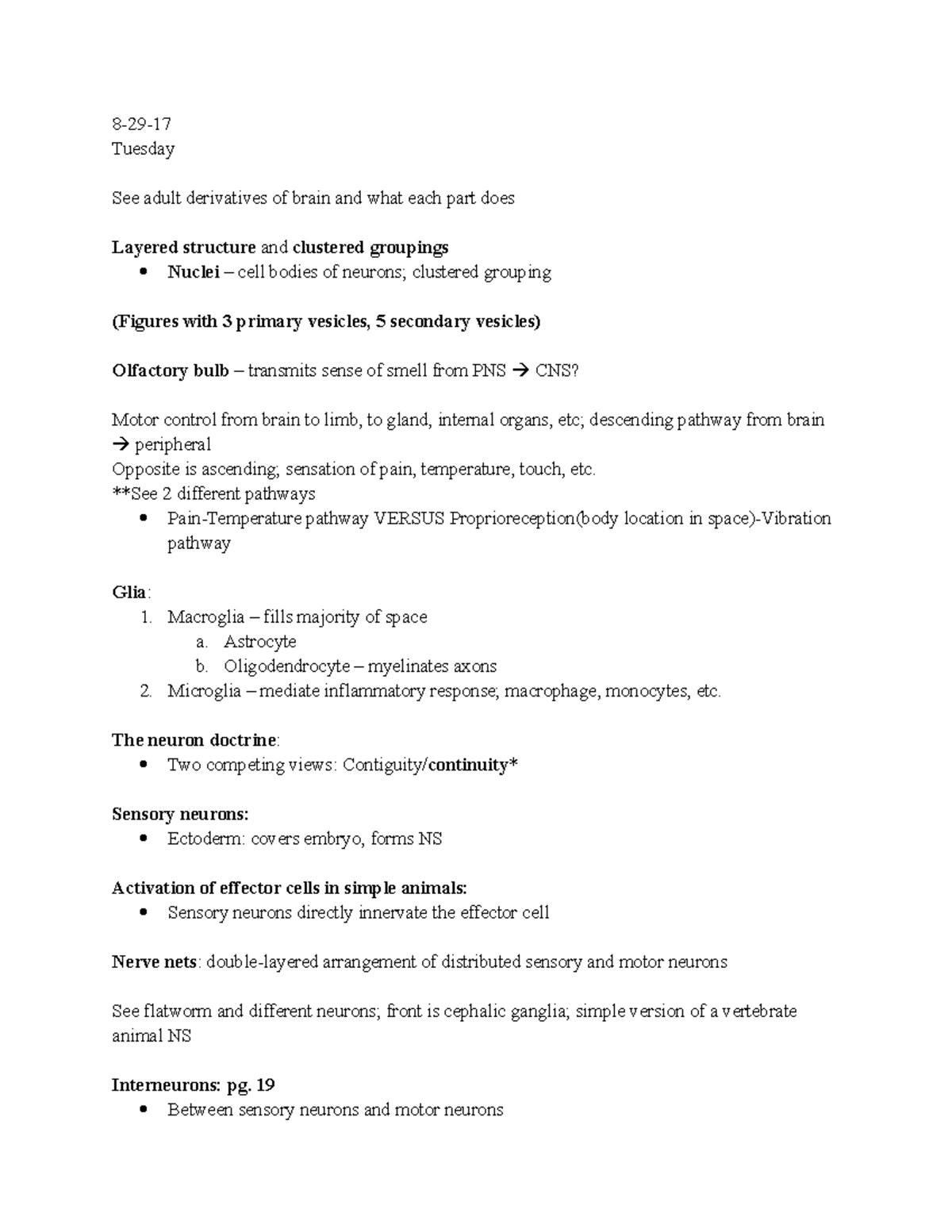 Neuro Exam 1 Lecture Notes - 8-29-17 Tuesday See adult derivatives of ...