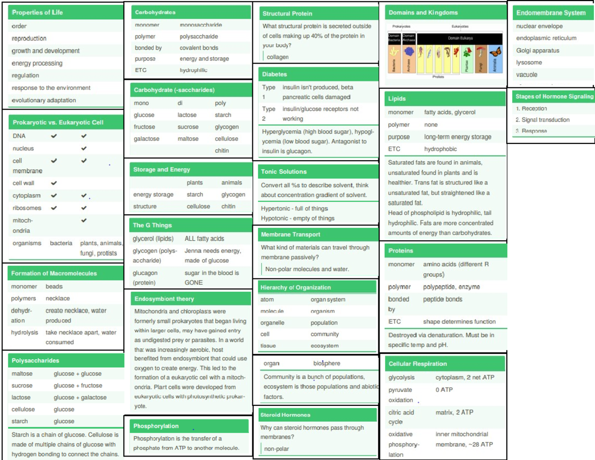 Biol 101 final cheatsheet - BIOL 101 - X` Type of Endocytosis - Studocu