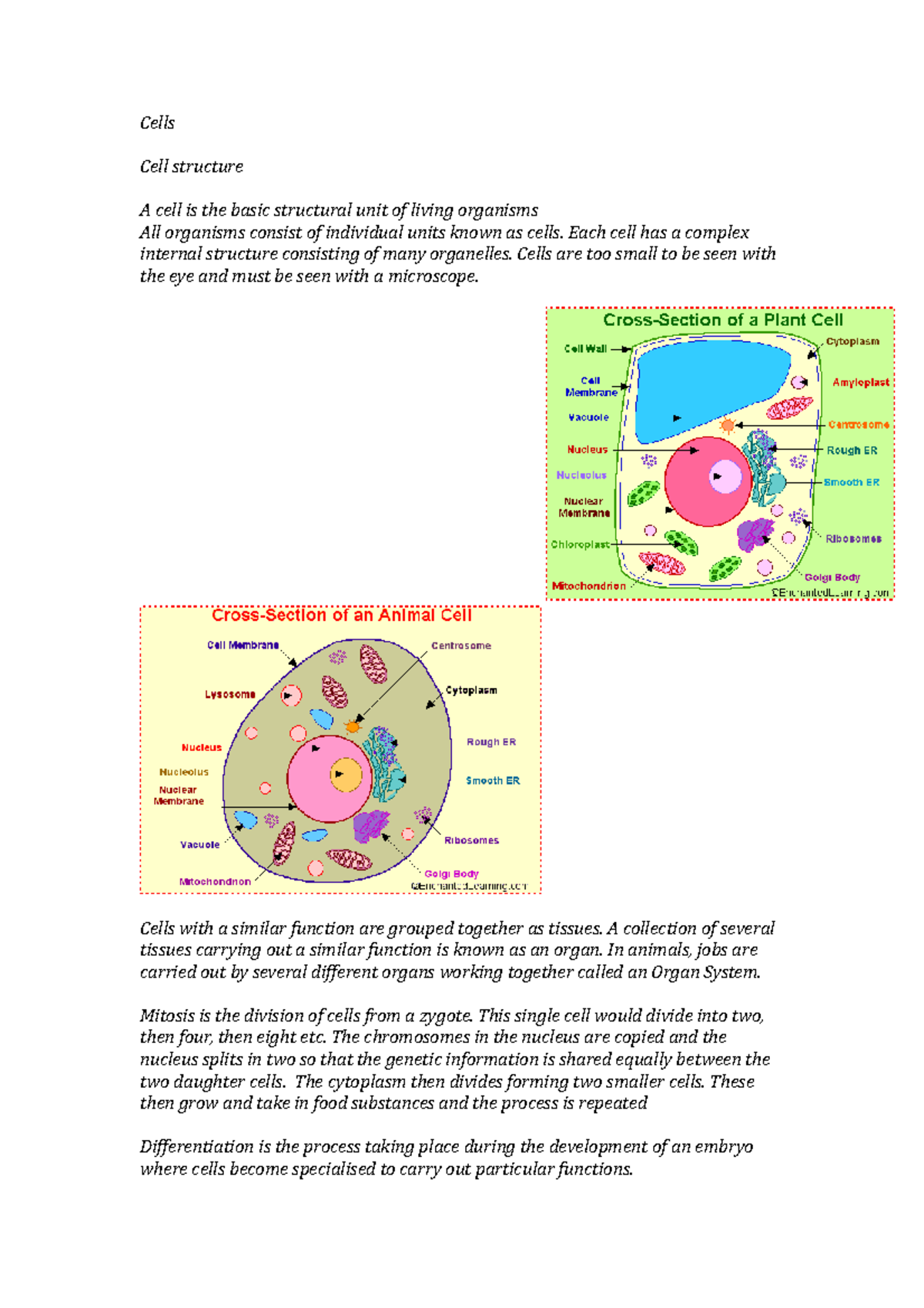 Cells - Cells Cell structure A cell is the basic structural unit of ...