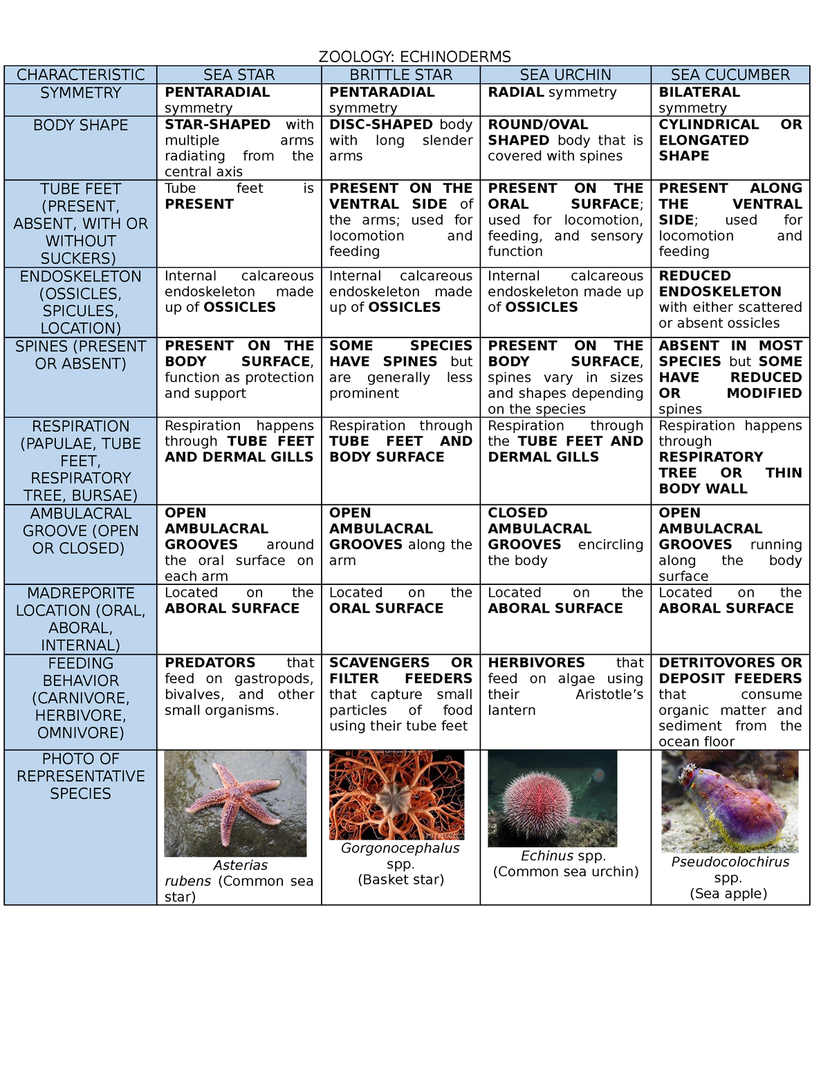 Zoology: Echinoderms - ZOOLOGY: ECHINODERMS CHARACTERISTIC SEA STAR ...